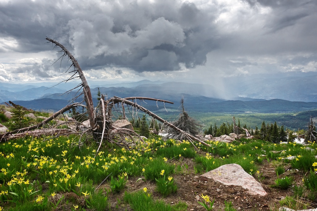 June storm, Grassy Mountain